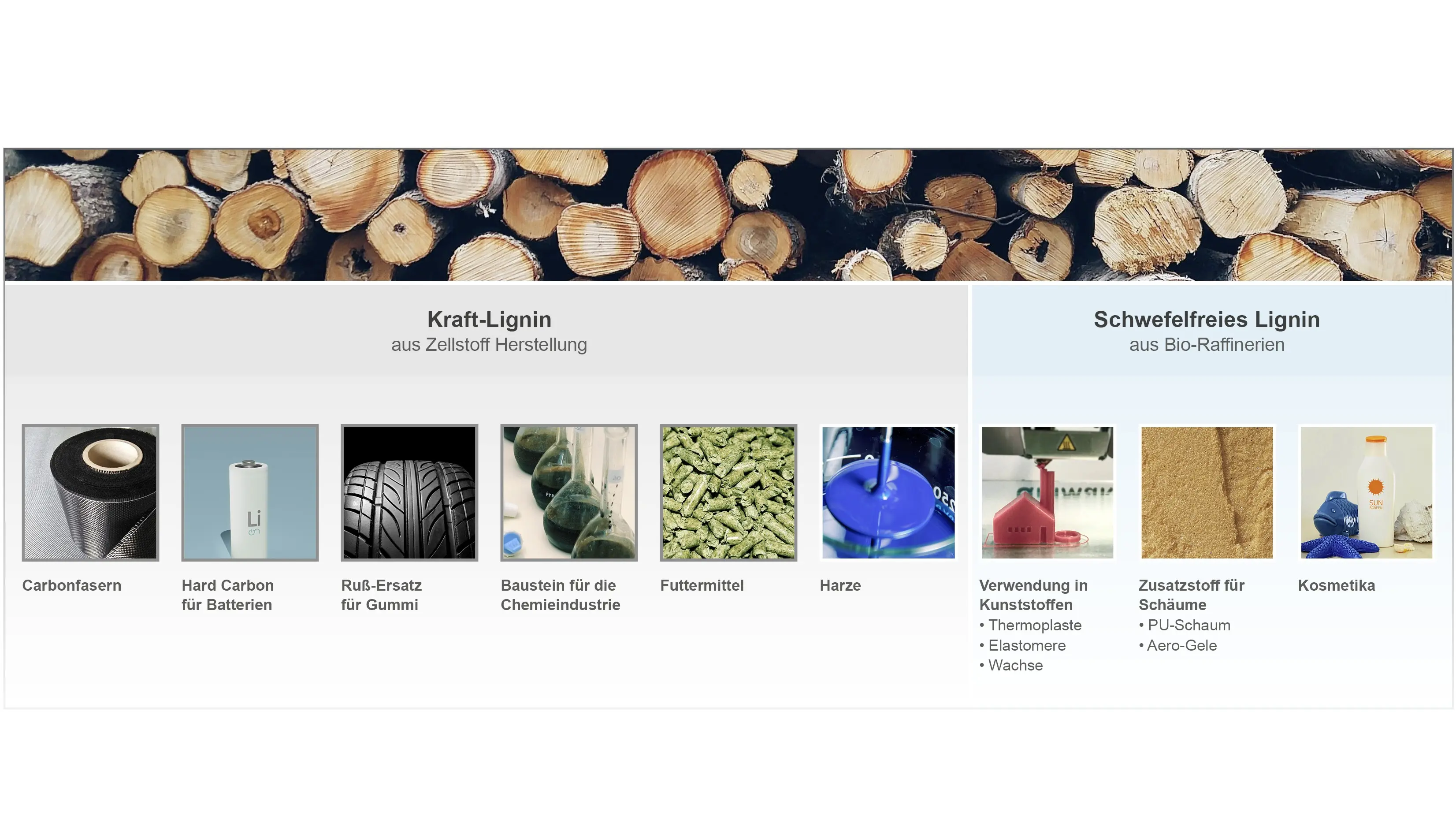 Ligninverwendung_DE1.jpg